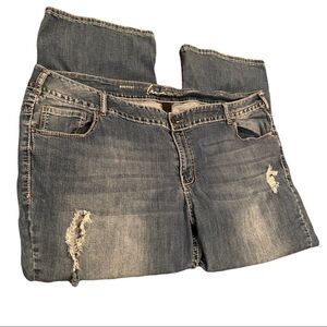 Lane Bryant Jeans Size 28 Petite